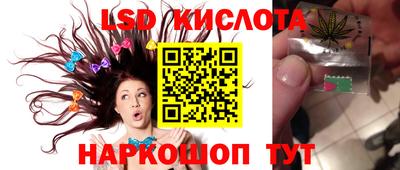 PSILOCYBIN Тверь