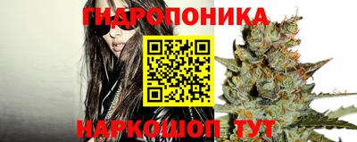 PSILOCYBIN Тверь