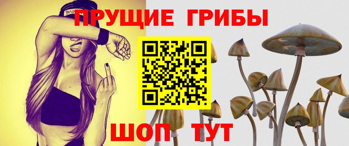 Галлюциногенные грибы Magic Shrooms Большой Камень